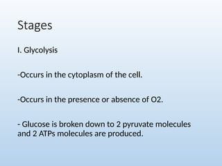 Stages
I. Glycolysis
-Occurs in the cytoplasm of the cell.
-Occurs in the presence or absence of O2.
- Glucose is broken down to 2 pyruvate molecules
and 2 ATPs molecules are produced.
 