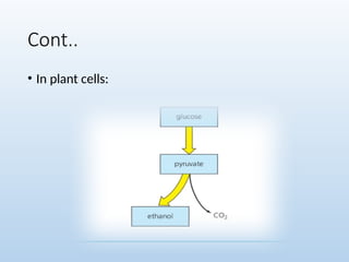 Cont..
• In plant cells:
 
