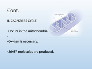 Cont..
II. CAC/KREBS CYCLE
-Occurs in the mitochondria.
-
-Oxygen is necessary.
-36ATP molecules are produced.
 