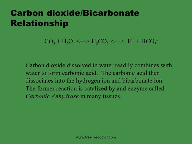 respiration gas exchange carbon dioxide combines with water to form carbonic acid