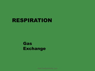 RESPIRATION Gas Exchange www.freelivedoctor.com 