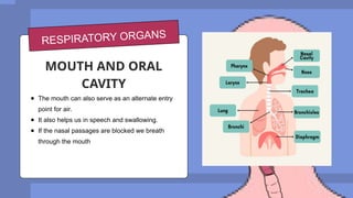 the-human-respiratory-system-for-grade-5-pptx