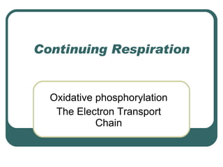 Continuing Respiration Oxidative phosphorylation The Electron Transport Chain 