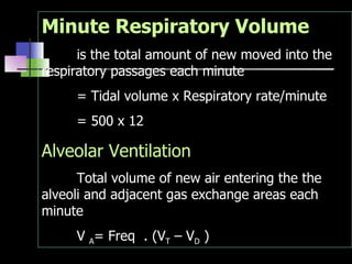 Minute Respiratory Volume is the total amount of new moved into the respiratory passages each minute  = Tidal volume x Respiratory rate/minute = 500 x 12 Alveolar Ventilation Total volume of new air entering the the alveoli and adjacent gas exchange areas each minute V  A = Freq  . (V T  – V D  ) 