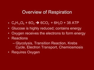 Overview of Respiration ,[object Object],[object Object],[object Object],[object Object],[object Object],[object Object]