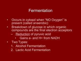 Fermentation Occurs in cytosol when “NO Oxygen” is present (called anaerobic) Breakdown of glucose in which organic compounds are the final electron acceptors Reduction  of pyruvic acid Gains e- and H+ from NADH Two Types: Alcohol Fermentation Lactic Acid Fermentation 