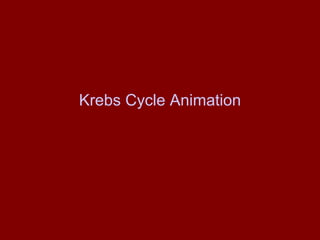 Krebs Cycle Animation 