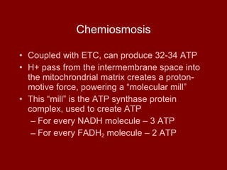 Chemiosmosis Coupled with ETC, can produce 32-34 ATP H+ pass from the intermembrane space into the mitochrondrial matrix creates a proton-motive force, powering a “molecular mill” This “mill” is the ATP synthase protein complex, used to create ATP For every NADH molecule – 3 ATP For every FADH 2  molecule – 2 ATP 