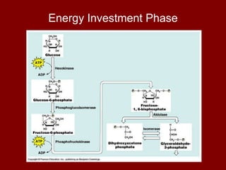 Energy Investment Phase 