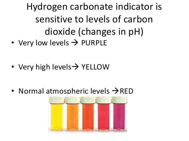 hydrogen carbonate