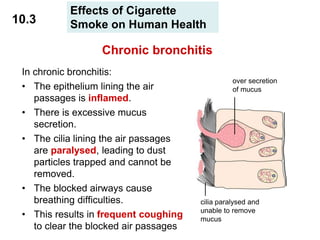 Respiration o-level combined biology 1 (2).pptx