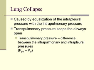 Lung Collapse
 Caused by equalization of the intrapleural
  pressure with the intrapulmonary pressure
 Transpulmonary pressure keeps the airways
  open
     Transpulmonary pressure – difference
      between the intrapulmonary and intrapleural
      pressures
      (Ppul – Pip)
 