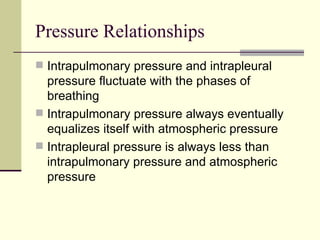 Pressure Relationships
 Intrapulmonary pressure and intrapleural
  pressure fluctuate with the phases of
  breathing
 Intrapulmonary pressure always eventually
  equalizes itself with atmospheric pressure
 Intrapleural pressure is always less than
  intrapulmonary pressure and atmospheric
  pressure
 