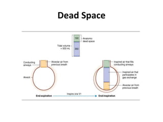 Dead Space