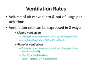 Ventilation RatesVolume of air moved into & out of lungs per unit timeVentilation rate can be expressed in 2 ways:Minute ventilationTotal rate of air movement into & out of lungs/minuteVTx breathes/min = 500 x 12 = 6L/minAlveolar ventilationTotal rate of air movement into & out of lungs/minute (corrected for DS)(VT – VD) x breathes/min (500 – 150) x 12 = 4200 ml/min