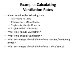 Example: Calculating Ventilation RatesA man who has the following data: Tidal volume = 550 mLBreathing rate = 14 breaths/minPco2 (arterial blood) = 40 mm HgPco2 (expired air) = 30 mm Hg. What is his minute ventilation? What is his alveolar ventilation? What percentage of each tidal volume reaches functioning alveoli? What percentage of each tidal volume is dead space?
