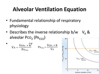 Alveolar Ventilation EquationFundamental relationship of respiratory physiologyDescribes the inverse relationship b/w    VA & alveolar Pco2 (PaCO2)                   or