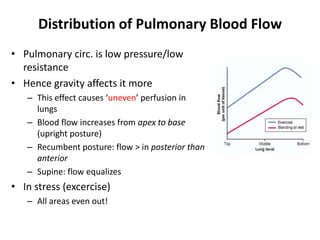 Distribution of Pulmonary Blood FlowPulmonary circ. is low pressure/low resistanceHence gravity affects it moreThis effect causes ‘uneven’ perfusion in lungsBlood flow increases from apex to base (upright posture)Recumbent posture: flow > in posterior than anteriorSupine: flow equalizesIn stress (excercise)All areas even out!