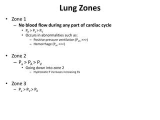 Lung ZonesZone 1No blood flow during any part of cardiac cyclePA > Pa > PVOccurs in abnormalities such as:Positive pressure ventilation (Palv >>>)Hemorrhage (Ppc <<<)Zone 2Pa > PA > PVGoing down into zone 2Hydrostatic P increases increasing PaZone 3Pa > PV > PA