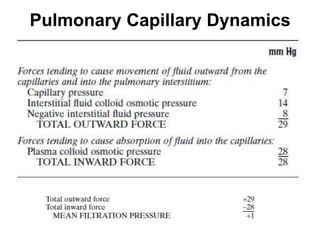 Pulmonary Capillary Dynamics