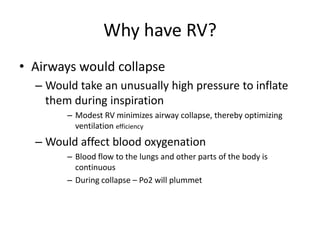 Why have RV?Airways would collapseWould take an unusually high pressure to inflate them during inspirationModest RV minimizes airway collapse, thereby optimizing ventilation efficiency Would affect blood oxygenationBlood flow to the lungs and other parts of the body is continuousDuring collapse – Po2 will plummet 