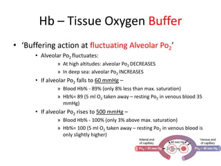 Hb – Tissue Oxygen Buffer‘Buffering action at fluctuating Alveolar Po2’Alveolar Po2 fluctuates:At high altitudes: alveolar Po2 DECREASESIn deep sea: alveolar Po2 INCREASESIf alveolar Po2 falls to 60 mmHg – Blood Hb% - 89% (only 8% less than max. saturation)Hb%= 89 (5 ml O2 taken away – resting Po2 in venous blood 35 mmHg)If alveolar Po2 rises to 500 mmHg – Blood Hb% - 100% (only 3% above max. saturation)Hb%= 100 (5 ml O2 taken away – resting Po2 in venous blood is only slightly higher)