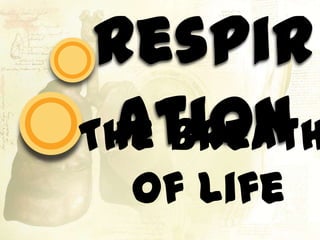 Respiration The Breath of Life 