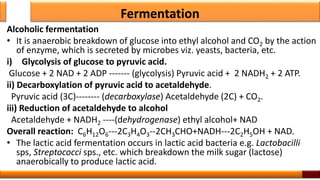 Fermentation
Alcoholic fermentation
• It is anaerobic breakdown of glucose into ethyl alcohol and CO2 by the action
of enzyme, which is secreted by microbes viz. yeasts, bacteria, etc.
i) Glycolysis of glucose to pyruvic acid.
Glucose + 2 NAD + 2 ADP ------- (glycolysis) Pyruvic acid + 2 NADH2 + 2 ATP.
ii) Decarboxylation of pyruvic acid to acetaldehyde.
Pyruvic acid (3C)-------- (decarboxylase) Acetaldehyde (2C) + CO2.
iii) Reduction of acetaldehyde to alcohol
Acetaldehyde + NADH2 ----(dehydrogenase) ethyl alcohol+ NAD
Overall reaction: C6H12O6---2C3H4O3--2CH3CHO+NADH---2C2H5OH + NAD.
• The lactic acid fermentation occurs in lactic acid bacteria e.g. Lactobacilli
sps, Streptococci sps., etc. which breakdown the milk sugar (lactose)
anaerobically to produce lactic acid.
12
 