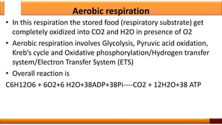 Aerobic respiration
• In this respiration the stored food (respiratory substrate) get
completely oxidized into CO2 and H2O in presence of O2
• Aerobic respiration involves Glycolysis, Pyruvic acid oxidation,
Kreb’s cycle and Oxidative phosphorylation/Hydrogen transfer
system/Electron Transfer System (ETS)
• Overall reaction is
C6H12O6 + 6O2+6 H2O+38ADP+38Pi----CO2 + 12H2O+38 ATP
14
 