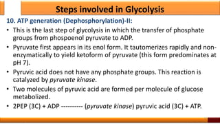 Steps involved in Glycolysis
10. ATP generation (Dephosphorylation)-II:
• This is the last step of glycolysis in which the transfer of phosphate
groups from phospoenol pyruvate to ADP.
• Pyruvate first appears in its enol form. It tautomerizes rapidly and non-
enzymatically to yield ketoform of pyruvate (this form predominates at
pH 7).
• Pyruvic acid does not have any phosphate groups. This reaction is
catalyzed by pyruvate kinase.
• Two molecules of pyruvic acid are formed per molecule of glucose
metabolized.
• 2PEP (3C) + ADP ---------- (pyruvate kinase) pyruvic acid (3C) + ATP.
24
 