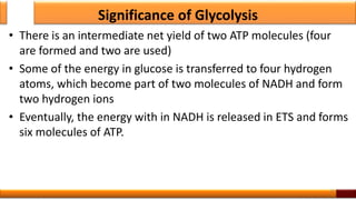 Significance of Glycolysis
• There is an intermediate net yield of two ATP molecules (four
are formed and two are used)
• Some of the energy in glucose is transferred to four hydrogen
atoms, which become part of two molecules of NADH and form
two hydrogen ions
• Eventually, the energy with in NADH is released in ETS and forms
six molecules of ATP.
25
 