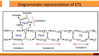 Diagrammatic representation of ETS
37
 