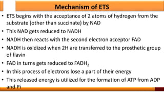 Mechanism of ETS
• ETS begins with the acceptance of 2 atoms of hydrogen from the
substrate (other than succinate) by NAD
• This NAD gets reduced to NADH
• NADH then reacts with the second electron acceptor FAD
• NADH is oxidized when 2H are transferred to the prosthetic group
of flavin
• FAD in turns gets reduced to FADH2
• In this process of electrons lose a part of their energy
• This released energy is utilized for the formation of ATP from ADP
and Pi 38
 