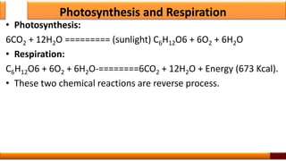 Photosynthesis and Respiration
• Photosynthesis:
6CO2 + 12H2O ========= (sunlight) C6H12O6 + 6O2 + 6H2O
• Respiration:
C6H12O6 + 6O2 + 6H2O-========6CO2 + 12H2O + Energy (673 Kcal).
• These two chemical reactions are reverse process.
4
 