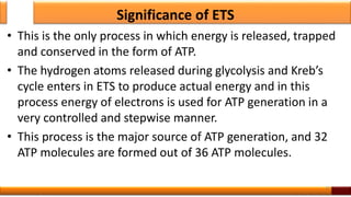 Significance of ETS
• This is the only process in which energy is released, trapped
and conserved in the form of ATP.
• The hydrogen atoms released during glycolysis and Kreb’s
cycle enters in ETS to produce actual energy and in this
process energy of electrons is used for ATP generation in a
very controlled and stepwise manner.
• This process is the major source of ATP generation, and 32
ATP molecules are formed out of 36 ATP molecules.
41
 