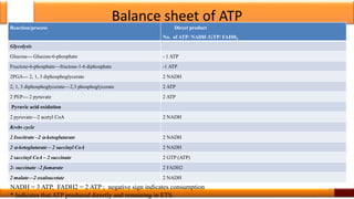 Balance sheet of ATP
Reaction/process Direct product
No. of ATP/ NADH /GTP/ FADH2
Glycolysis
Glucose--- Glucose-6-phosphate - 1 ATP
Fructose-6-phosphate—fructose-1-6 diphosphate -1 ATP
2PGA--- 2, 1, 3 diphosphoglycerate 2 NADH
2, 1, 3 diphosphoglycerate—2,3 phosphoglycerate 2 ATP
2 PEP--- 2 pyruvate 2 ATP
Pyruvic acid oxidation
2 pyruvate—2 acetyl CoA 2 NADH
Krebs cycle
2 Isocitrate –2 -ketoglutarate 2 NADH
2 -ketoglutarate – 2 succinyl CoA 2 NADH
2 succinyl CoA – 2 succinate 2 GTP (ATP)
2- succinate –2 fumarate 2 FADH2
2 malate—2 oxaloacetate 2 NADH
45
NADH = 3 ATP, FADH2 = 2 ATP ; negative sign indicates consumption
* Indicates that ATP produced directly and remaining in ETS.
 