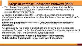 Steps in Pentose Phosphate Pathway (PPP)
• The ribulose 5-phosphate is further by a series of reactions involving
interconversions of 3,4,5,6 and 7 carbon monosaccharides, which are
catalyzed by several enzymes.
3.Ribulose 5-phosphate is either isomerized by phsphoriboisomerase to
ribose5-phsophate or epimerized by phosphoribose epimerase to xylulose 5-
phosphate.
Ribulose–5-phosphate=========== (phosphoriboisomerase)Ribose5-
phosphate.
4. Subsequently two ribose-5-phosphose and two xylulose-5-phosphate
combine to form two molecules of sedoheptulose 7-phosphate in presence of
transketolase, Mg++, TPP (Thiamine pyrophosphate).
Xylulose-5-phosphate+Ribose-5-phsophate==(transketolase)
Sedoheptulose-7-phosphate + glyceraldehyde-3-phosphate.
51
 
