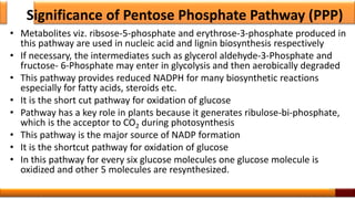 Significance of Pentose Phosphate Pathway (PPP)
• Metabolites viz. ribsose-5-phosphate and erythrose-3-phosphate produced in
this pathway are used in nucleic acid and lignin biosynthesis respectively
• If necessary, the intermediates such as glycerol aldehyde-3-Phosphate and
fructose- 6-Phosphate may enter in glycolysis and then aerobically degraded
• This pathway provides reduced NADPH for many biosynthetic reactions
especially for fatty acids, steroids etc.
• It is the short cut pathway for oxidation of glucose
• Pathway has a key role in plants because it generates ribulose-bi-phosphate,
which is the acceptor to CO2 during photosynthesis
• This pathway is the major source of NADP formation
• It is the shortcut pathway for oxidation of glucose
• In this pathway for every six glucose molecules one glucose molecule is
oxidized and other 5 molecules are resynthesized.
53
 