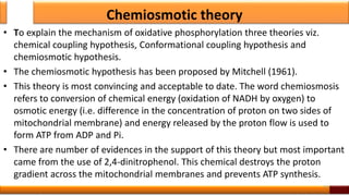 Chemiosmotic theory
• To explain the mechanism of oxidative phosphorylation three theories viz.
chemical coupling hypothesis, Conformational coupling hypothesis and
chemiosmotic hypothesis.
• The chemiosmotic hypothesis has been proposed by Mitchell (1961).
• This theory is most convincing and acceptable to date. The word chemiosmosis
refers to conversion of chemical energy (oxidation of NADH by oxygen) to
osmotic energy (i.e. difference in the concentration of proton on two sides of
mitochondrial membrane) and energy released by the proton flow is used to
form ATP from ADP and Pi.
• There are number of evidences in the support of this theory but most important
came from the use of 2,4-dinitrophenol. This chemical destroys the proton
gradient across the mitochondrial membranes and prevents ATP synthesis.
54
 