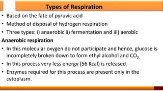 Types of Respiration
• Based on the fate of pyruvic acid
• Method of disposal of hydrogen respiration
• Three types: i) anaerobic ii) fermentation and iii) aerobic
Anaerobic respiration
• In this molecular oxygen do not participate and hence, glucose is
incompletely broken down to form ethyl alcohol and CO2.
• In this process very less energy (56 Kcal) is released.
• Enzymes required for this process are present only in the
cytoplasm.
7
 