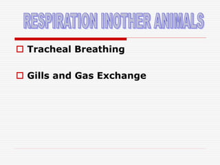  Tracheal Breathing
 Gills and Gas Exchange
 