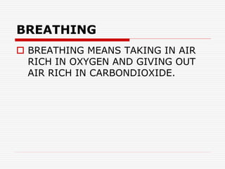 BREATHING
 BREATHING MEANS TAKING IN AIR
RICH IN OXYGEN AND GIVING OUT
AIR RICH IN CARBONDIOXIDE.
 