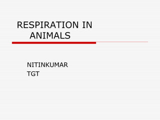 RESPIRATION IN
ANIMALS
NITINKUMAR
TGT
 