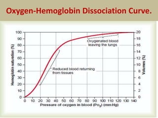 Oxygen-Hemoglobin Dissociation Curve.
 