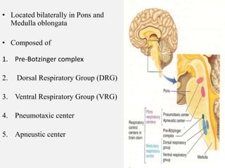 • Located bilaterally in Pons and
Medulla oblongata
• Composed of
1. Pre-Botzinger complex
2. Dorsal Respiratory Group (DRG)
3. Ventral Respiratory Group (VRG)
4. Pneumotaxic center
5. Apneustic center
 