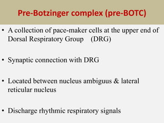 Pre-Botzinger complex (pre-BOTC)
• A collection of pace-maker cells at the upper end of
Dorsal Respiratory Group (DRG)
• Synaptic connection with DRG
• Located between nucleus ambiguus & lateral
reticular nucleus
• Discharge rhythmic respiratory signals
 
