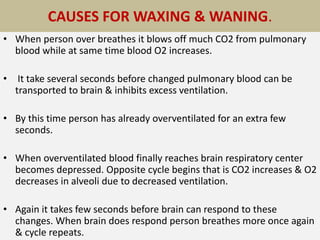 CAUSES FOR WAXING & WANING.
• When person over breathes it blows off much CO2 from pulmonary
blood while at same time blood O2 increases.
• It take several seconds before changed pulmonary blood can be
transported to brain & inhibits excess ventilation.
• By this time person has already overventilated for an extra few
seconds.
• When overventilated blood finally reaches brain respiratory center
becomes depressed. Opposite cycle begins that is CO2 increases & O2
decreases in alveoli due to decreased ventilation.
• Again it takes few seconds before brain can respond to these
changes. When brain does respond person breathes more once again
& cycle repeats.
 