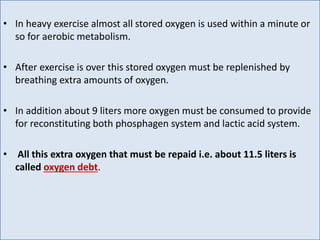 • In heavy exercise almost all stored oxygen is used within a minute or
so for aerobic metabolism.
• After exercise is over this stored oxygen must be replenished by
breathing extra amounts of oxygen.
• In addition about 9 liters more oxygen must be consumed to provide
for reconstituting both phosphagen system and lactic acid system.
• All this extra oxygen that must be repaid i.e. about 11.5 liters is
called oxygen debt.
 