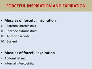FORCEFUL INSPIRATION AND EXPIRATION
• Muscles of forceful inspiration
I. External intercostals
II. Sternocleidomastoid
III. Anterior serrati
IV. Scaleni
• Muscles of forceful expiration
• Abdominal recti
• Internal intercostals.
 