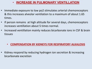 • INCREASE IN PULMONARY VENTILLATION
• Immediate exposure to low po2 stimulates arterial chemoreceptors
& this increases alveolar ventilation to a maximum of about 1.65
times.
• If person remains at high altitude for several days, chemoreceptors
increases ventillation about 5 times normal.
• Increased ventillation mainly reduces bicarbonate ions in CSF & brain
tissues
• COMPENSATION BY KIDNEYS FOR RESPIRATORY ALKALOSIS
• Kidney respond by reducing hydrogen ion secretion & increasing
bicarbonate excretion
 